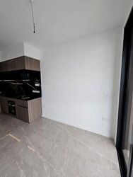 Irwell Hill Residences (D9), Apartment #557956361